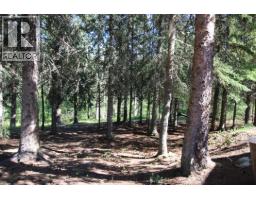 40/48 Kinuseo Place, Tumbler Ridge, BC V0C2W0 Photo 43