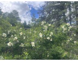 453081 Rge Road 75, Rural Wetaskiwin County, AB T4J1L4 Photo 56