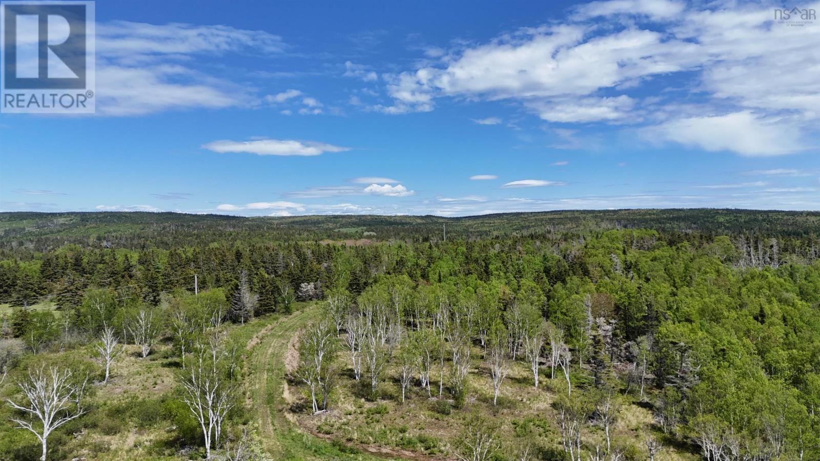 Property 4 of 13 of 7.5 acre Highway 4