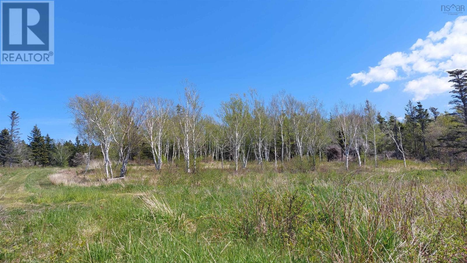 Property 5 of 16 of 7.3 acre Highway 4