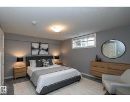 11138 30 Av Nw, Edmonton, AB T6J3Y6 Photo 34