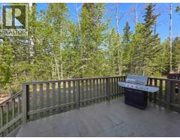114 Moberly Road, Grande Cache, AB T0E0Y0 Photo 9