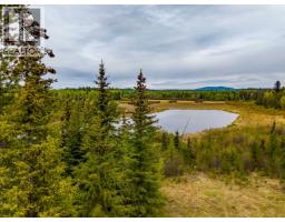7497 Little Fort 24 Highway, Bridge Lake, BC V0K1X2 Photo 31