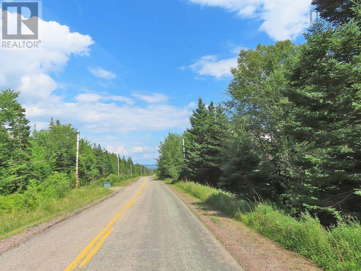 46 Acres Washabuck Road