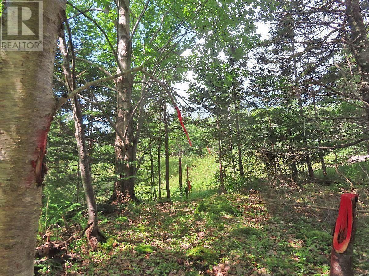 Property 18 of 32 of 46 Acres Washabuck Road