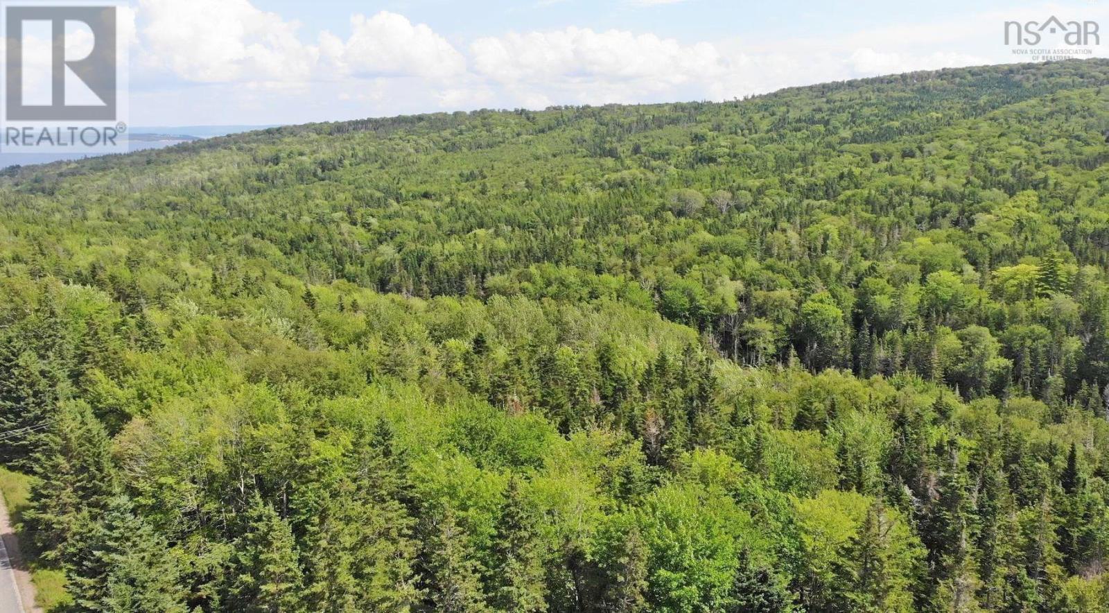 Property 4 of 32 of 46 Acres Washabuck Road