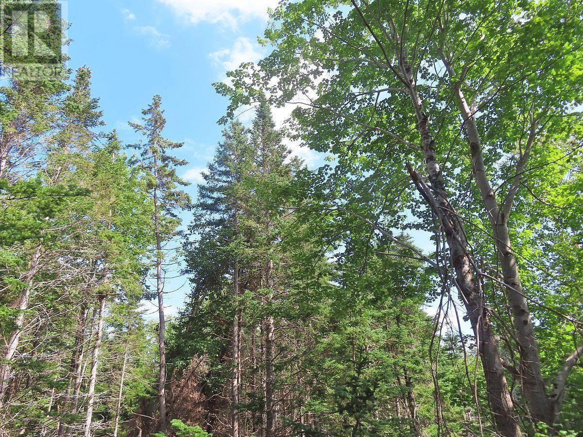 Property 20 of 32 of 46 Acres Washabuck Road