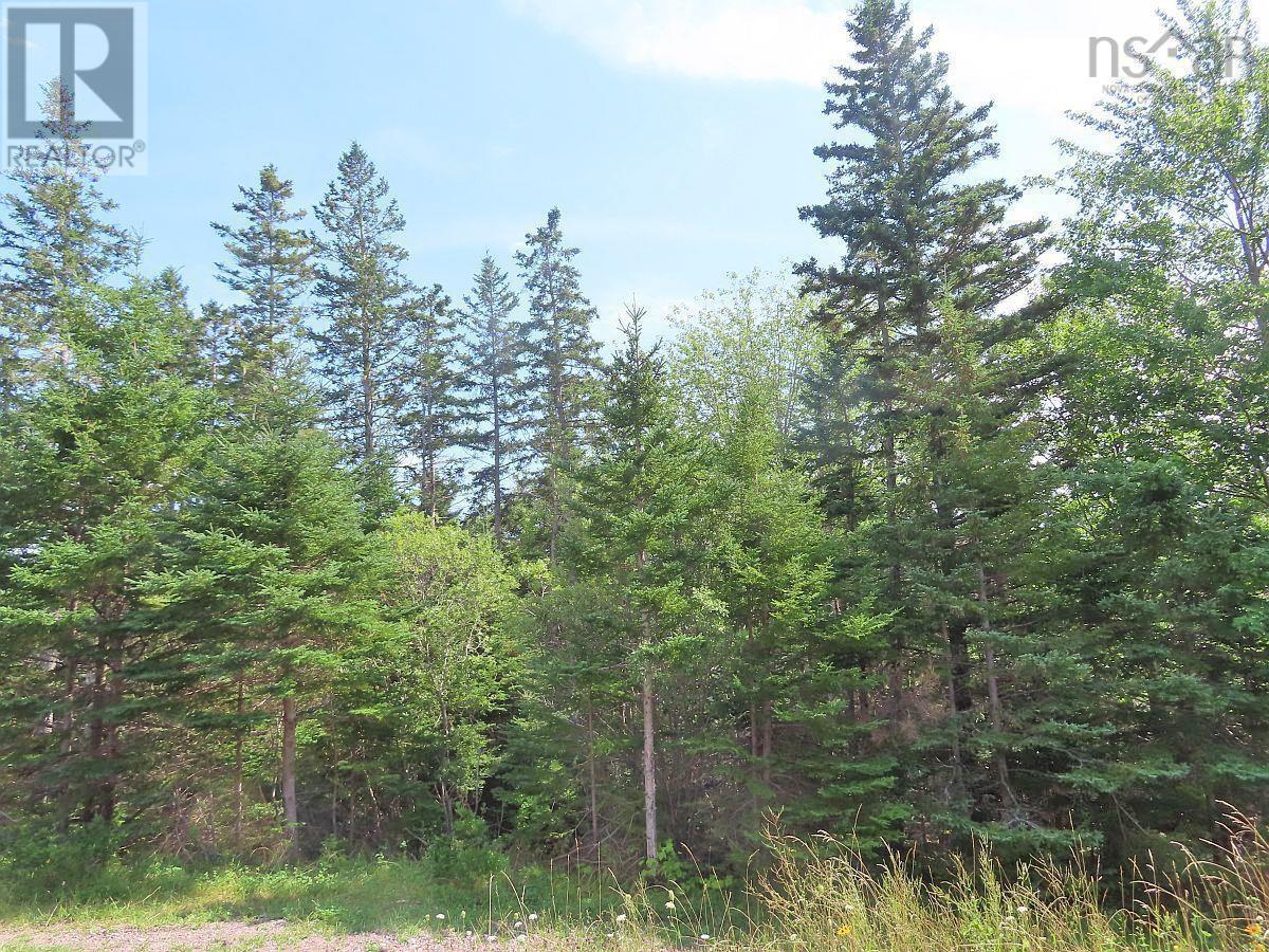 Property 25 of 32 of 46 Acres Washabuck Road