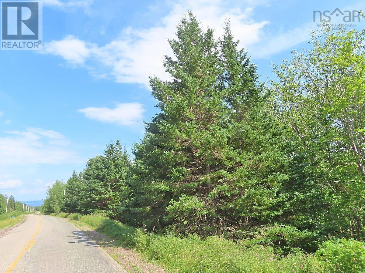 Property 23 of 32 of 46 Acres Washabuck Road