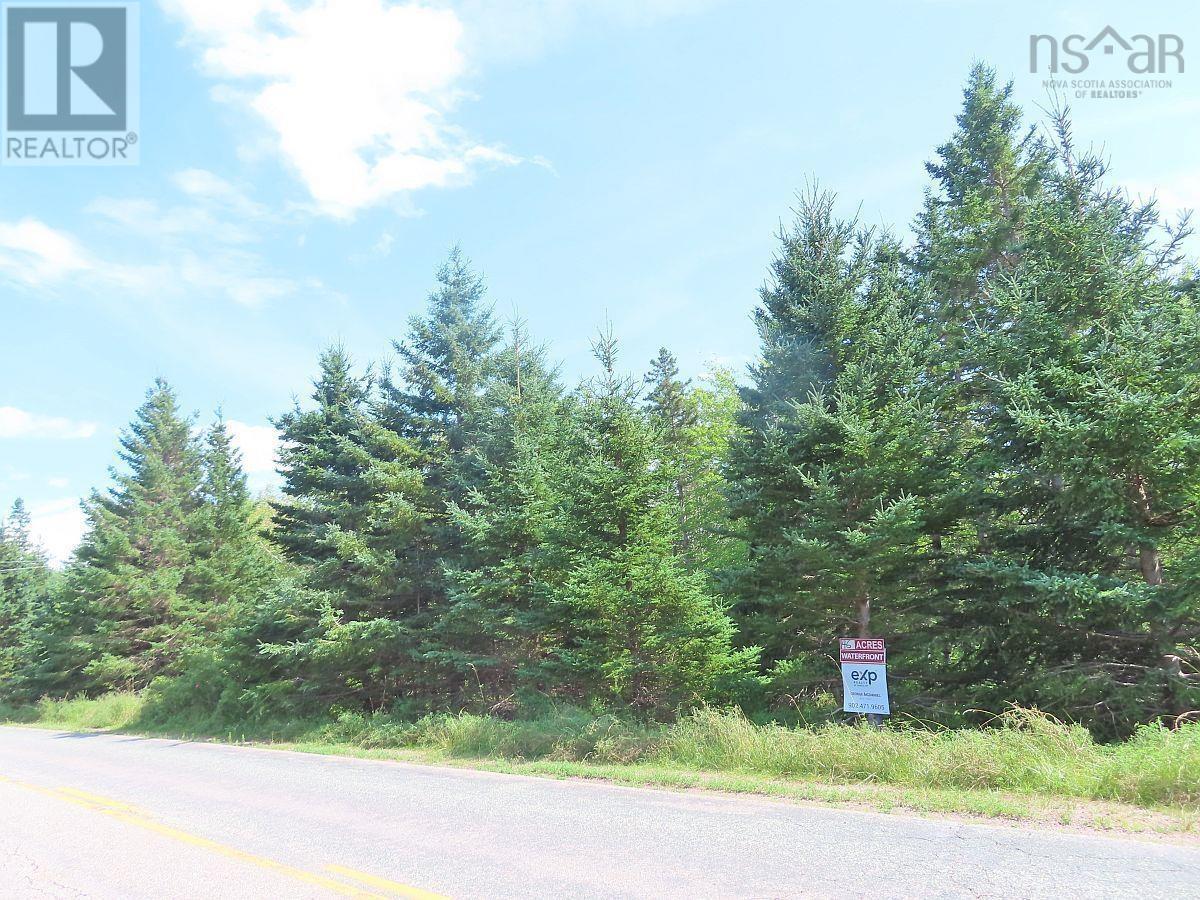 Property 24 of 32 of 46 Acres Washabuck Road