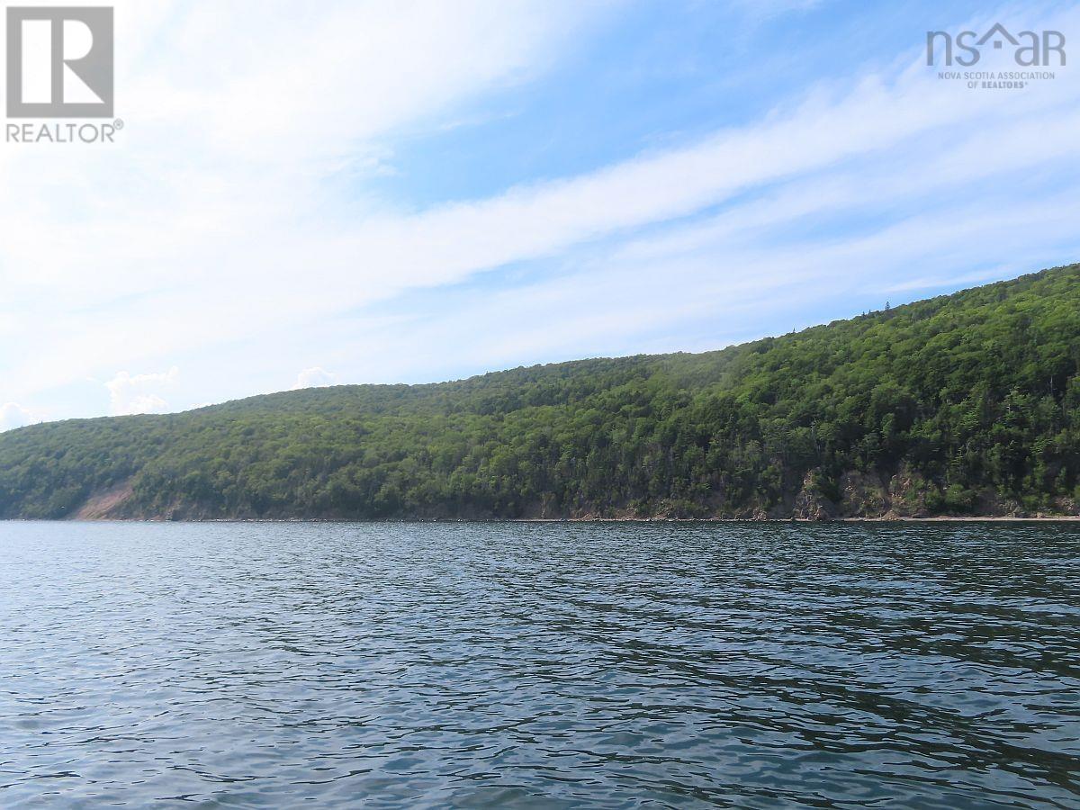 Property 26 of 32 of 46 Acres Washabuck Road