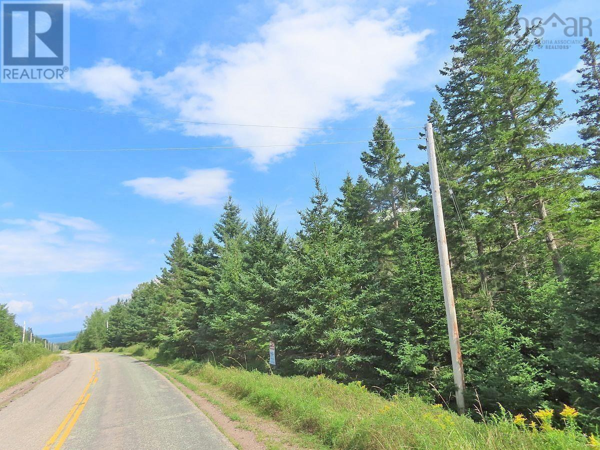 Property 22 of 32 of 46 Acres Washabuck Road