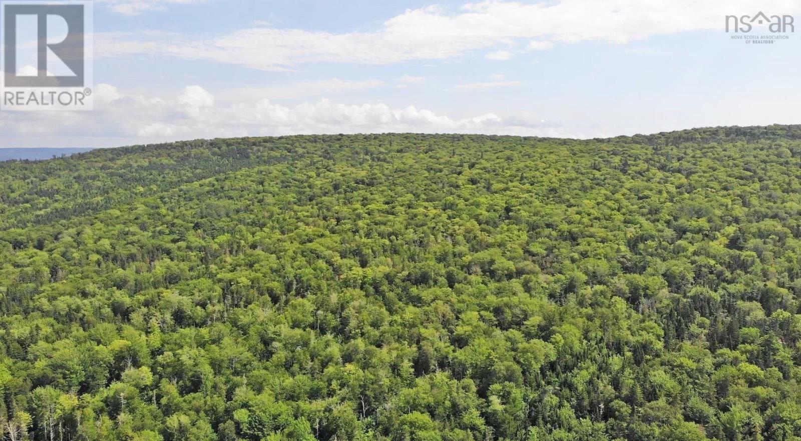 Property 8 of 32 of 46 Acres Washabuck Road
