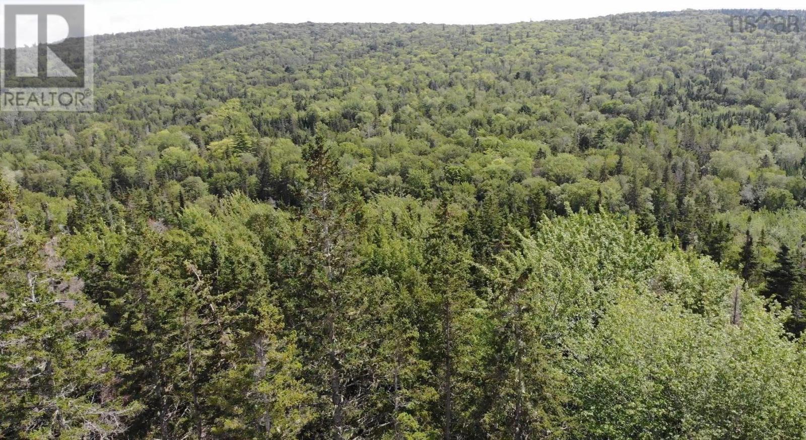 Property 7 of 32 of 46 Acres Washabuck Road