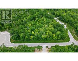 Lot 40 Whispering Pine Circle, Tiny, ON L9M0C2 Photo 8