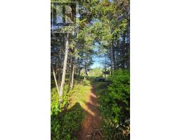 102 Rink Road thumbnail 10