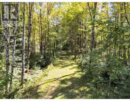 1435 Falkenburg Road, Muskoka Lakes), ON P1L1X4 Photo 46
