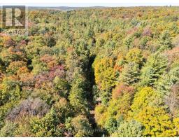 1435 Falkenburg Road, Muskoka Lakes), ON P1L1X4 Photo 45