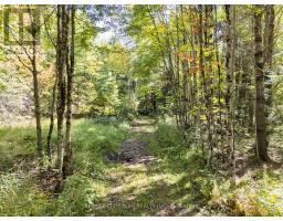 1435 Falkenburg Road, Muskoka Lakes), ON P1L1X4 Photo 47