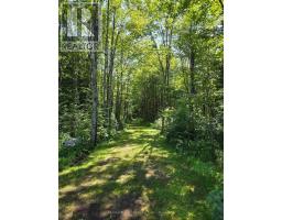 1435 Falkenburg Road, Muskoka Lakes), ON P1L1X4 Photo 49