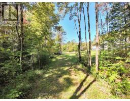 1435 Falkenburg Road, Muskoka Lakes), ON P1L1X4 Photo 48