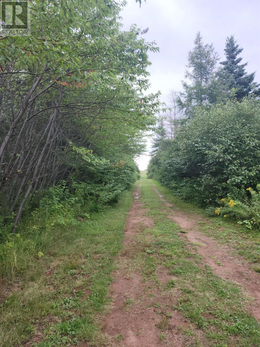 Lot Henrys Lane, Gaspereaux, Prince Edward Island, C0A1R0, Gaspereaux, Prince Edward Island — photo 2 of 5