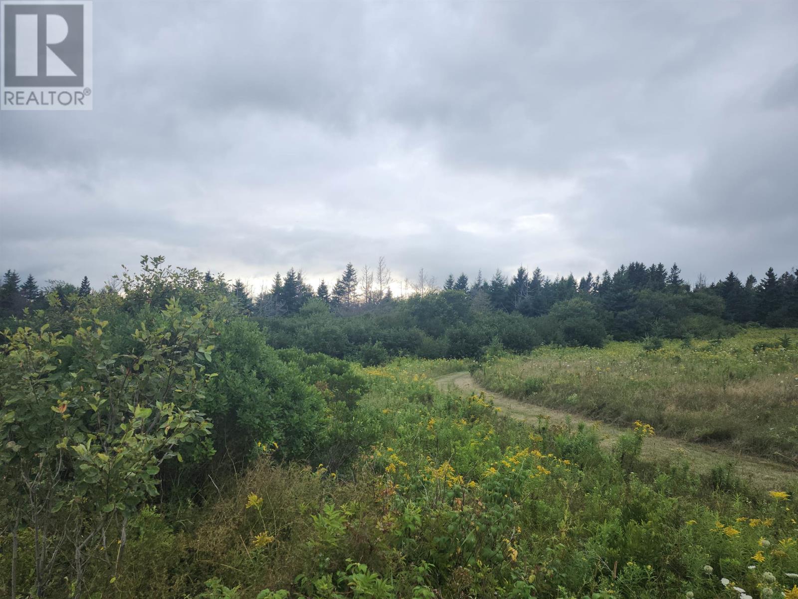 Lot Henrys Lane, Gaspereaux, Prince Edward Island, C0A1R0, Gaspereaux, Prince Edward Island — photo 5 of 5