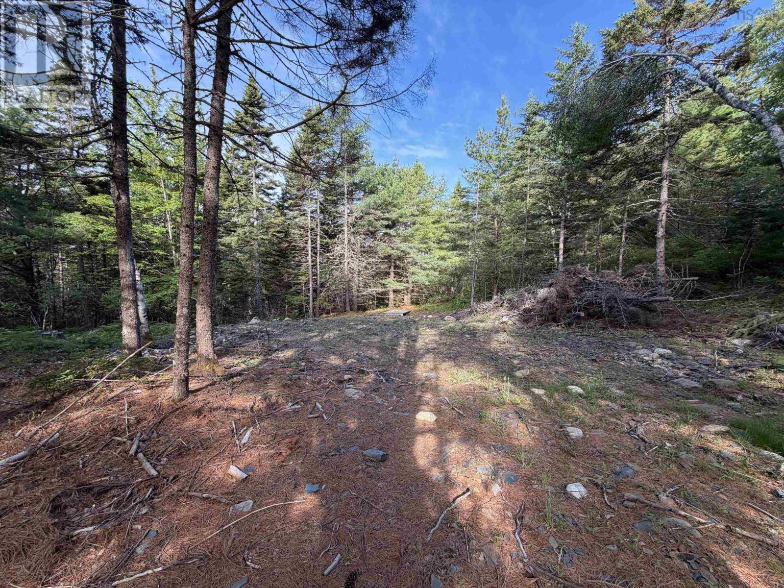 Property 5 of 10 of Lot 7 Huey Lake Road
