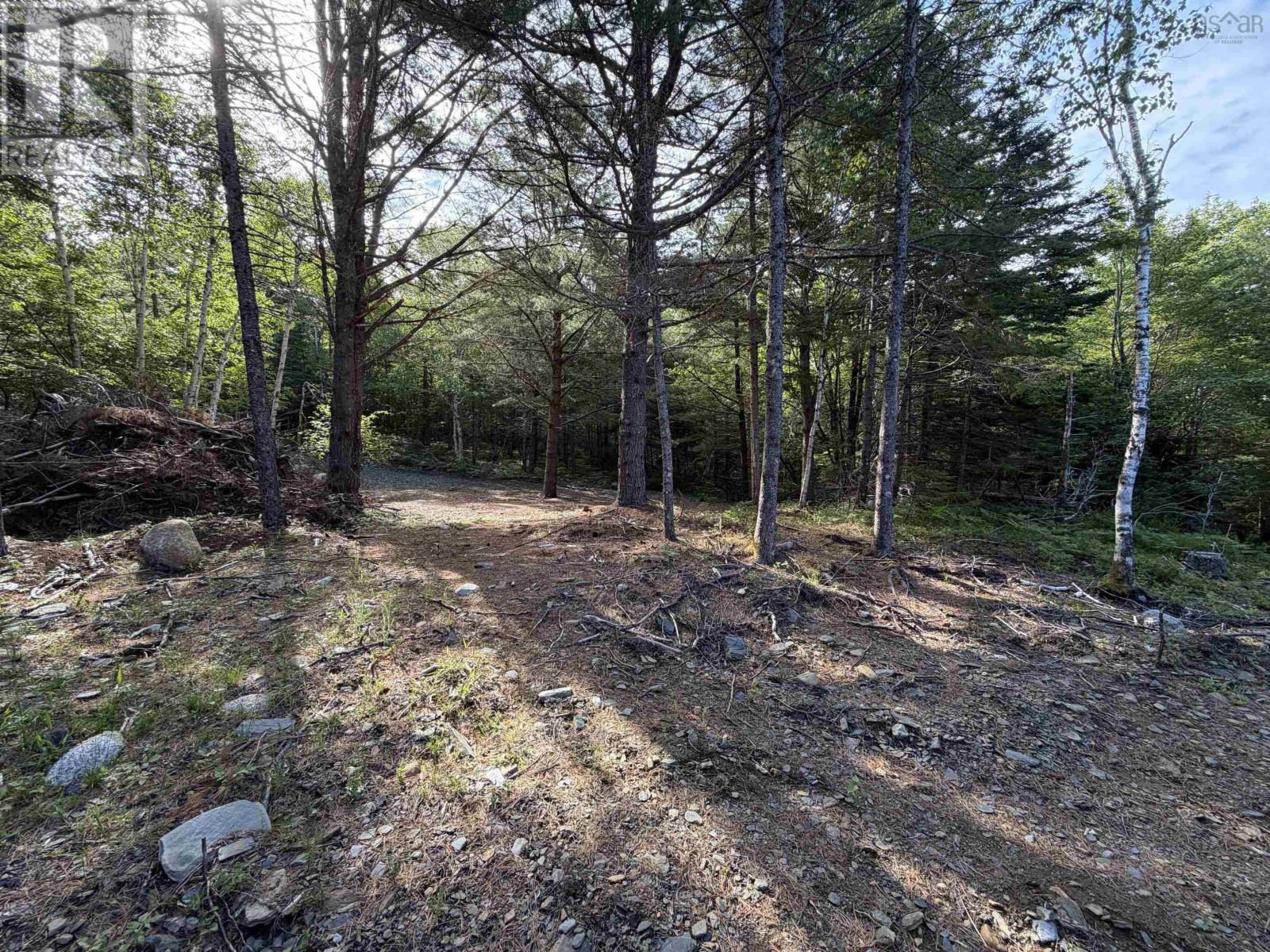 Property 8 of 10 of Lot 7 Huey Lake Road