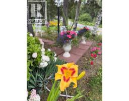 81 Woodland Hill, Perth Andover, NB E7H5H4 Photo 49
