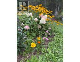 81 Woodland Hill, Perth Andover, NB E7H5H4 Photo 47