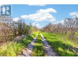 1092 Huycks Point Road, Prince Edward County, ON K0K3L0 Photo 10