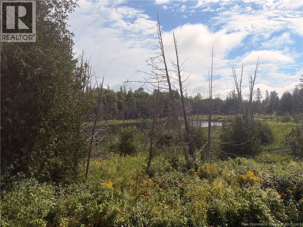 N/A Brookville Road, Brookville, New Brunswick, E7K1M3, Brookville, New Brunswick — photo 5 of 5
