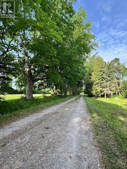 2279 PIGEON LAKE ROAD - 37
