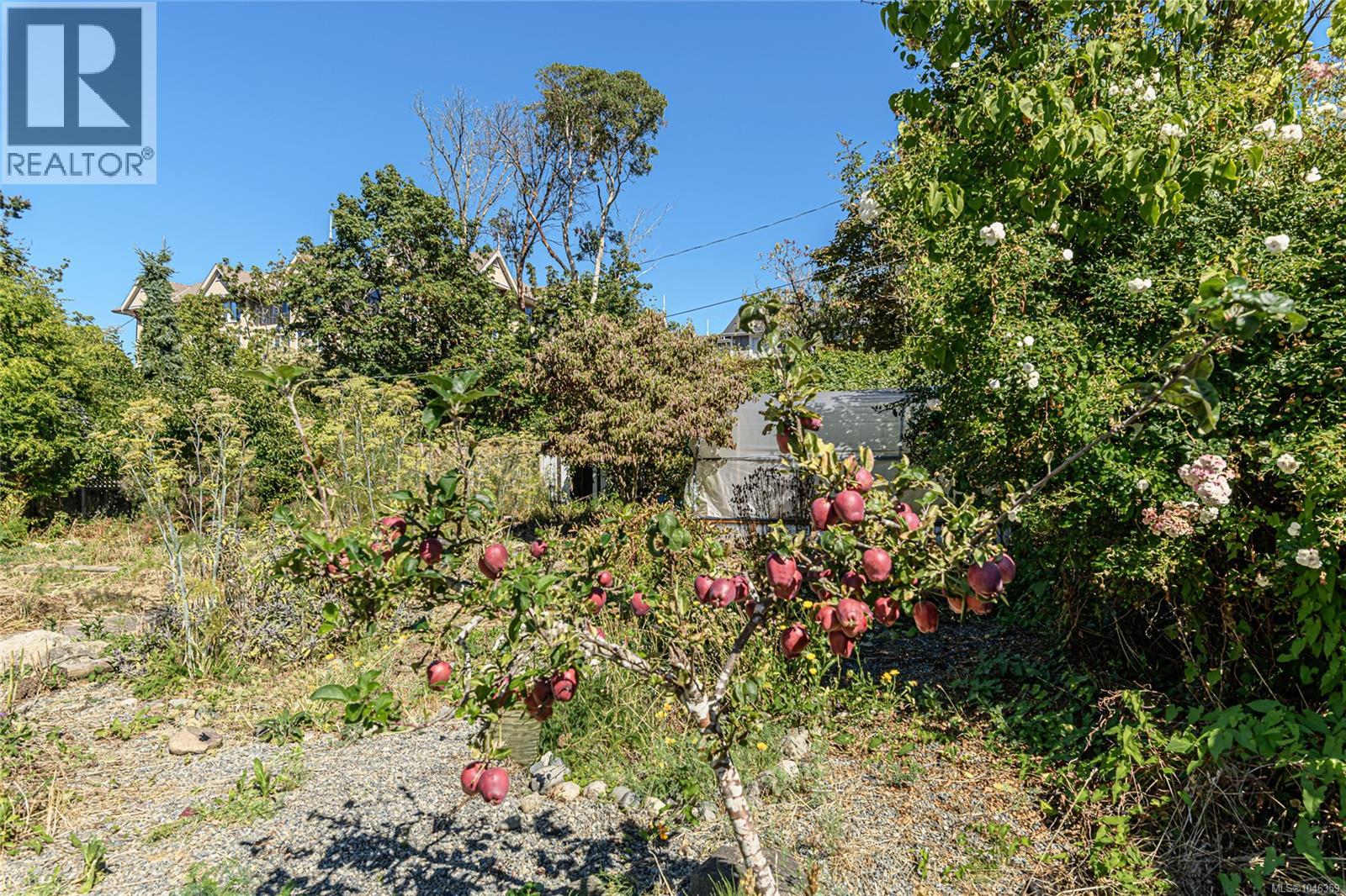 9899 Maple St - 40