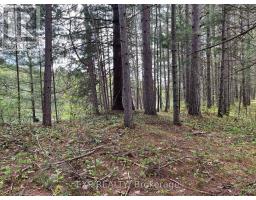 Lot 30 Sandy Shores Trail, Madawaska Valley, ON K0J1B0 Photo 7