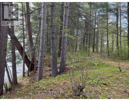 Lot 30 Sandy Shores Trail, Madawaska Valley, ON K0J1B0 Photo 6