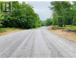 Lot 15 Sandy Shores Trail, Madawaska Valley, ON K0J1B0 Photo 24