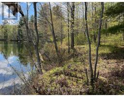 Lot 15 Sandy Shores Trail, Madawaska Valley, ON K0J1B0 Photo 7