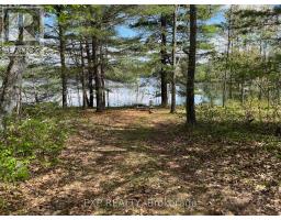 Lot 15 Sandy Shores Trail, Madawaska Valley, ON K0J1B0 Photo 6