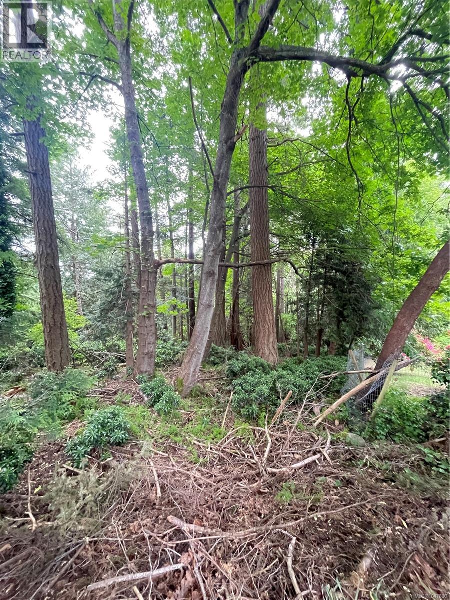 4912 Lochside Dr - Image 3