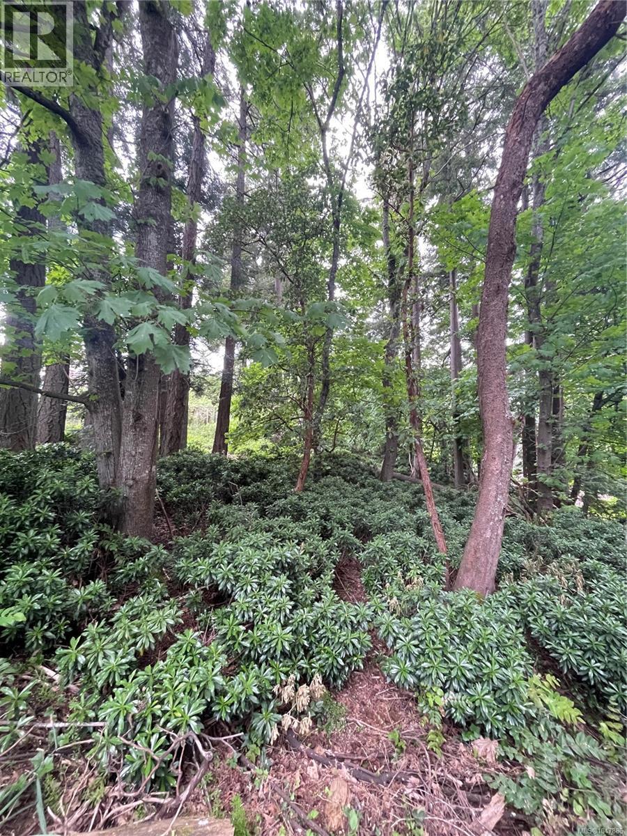 4912 Lochside Dr - Image 5