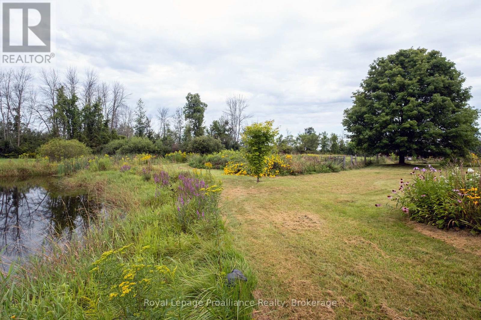 77 ANSON ROAD - Image 23