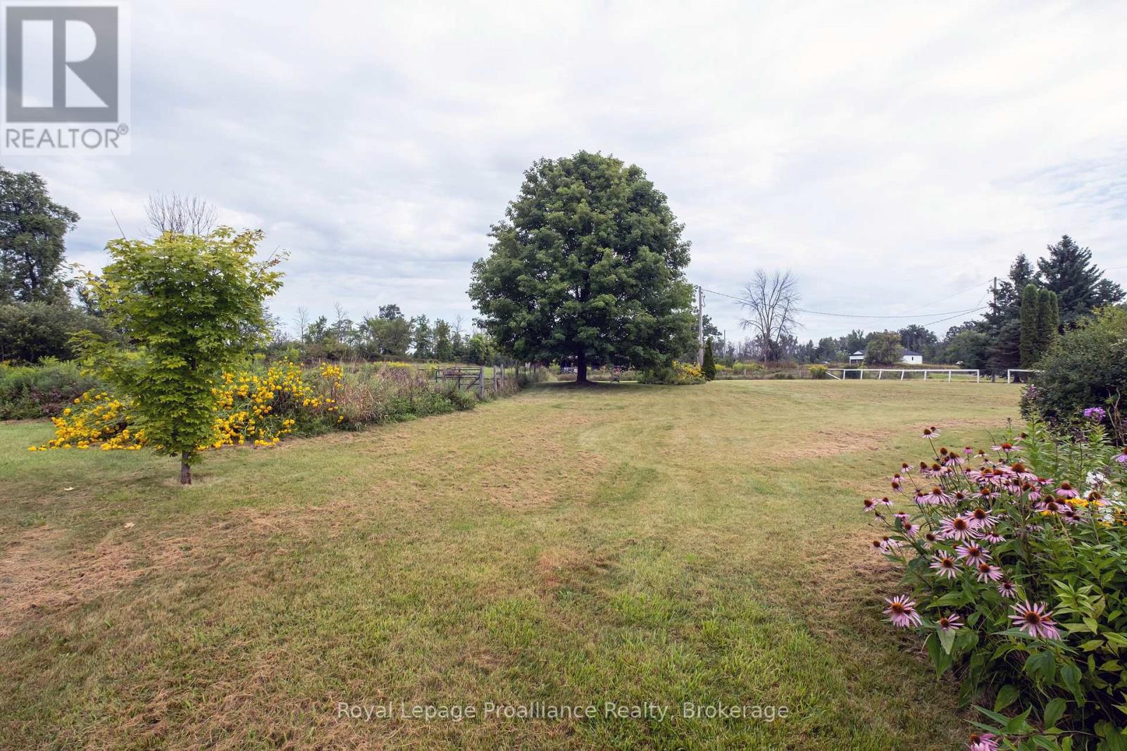 77 ANSON ROAD - Image 24