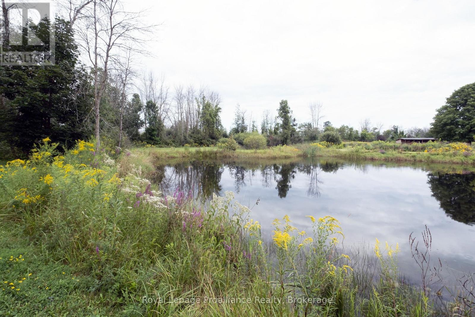 77 ANSON ROAD - Image 33