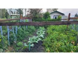 5004 50 Av, Evansburg, AB T0E0T0 Photo 45