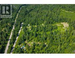 7455 19 Mile Road, Revelstoke, BC V0E2S0 Photo 8