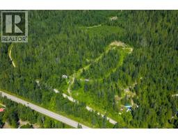 7455 19 Mile Road, Revelstoke, BC V0E2S0 Photo 7