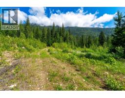 7455 19 Mile Road, Revelstoke, BC V0E2S0 Photo 16