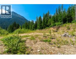 7455 19 Mile Road, Revelstoke, BC V0E2S0 Photo 19